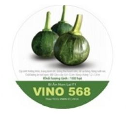 Giống bí đỏ ngồi Vino 568